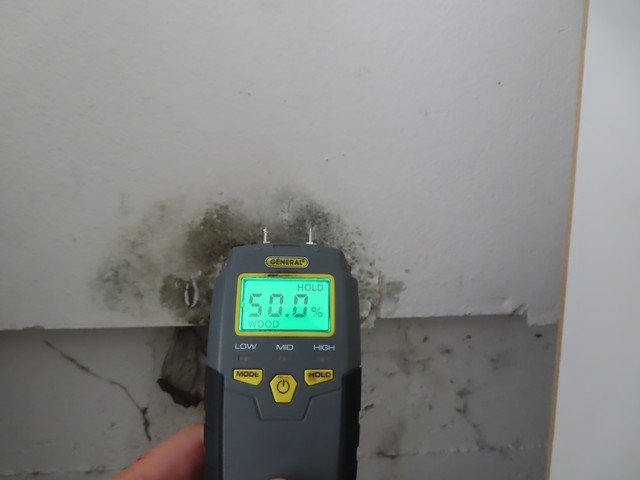 Mold Inspector in Los Angeles