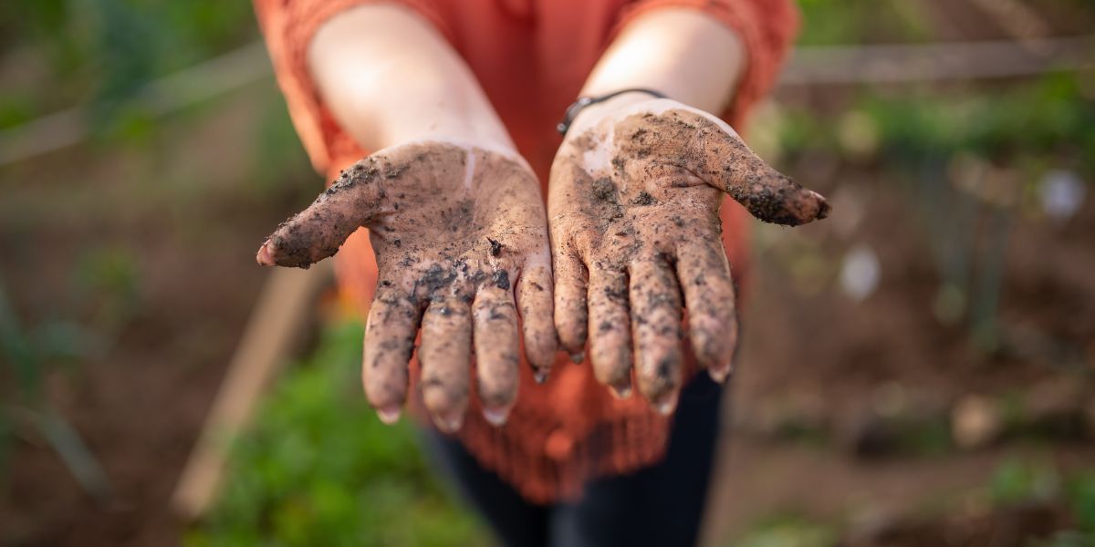Homesteading Skills