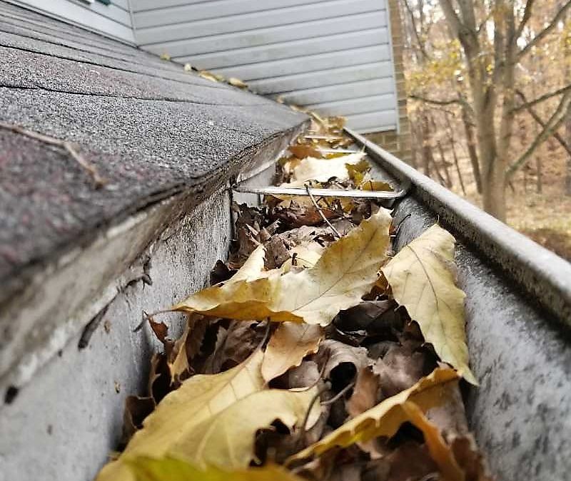 Gutter filled with leaves and debris.